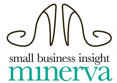 Small Business Insight Minerva Award